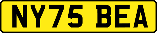 NY75BEA