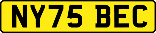 NY75BEC