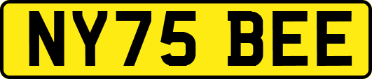 NY75BEE