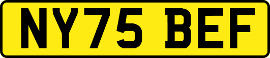 NY75BEF