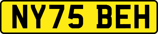 NY75BEH