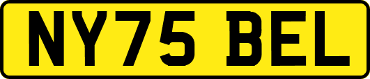 NY75BEL