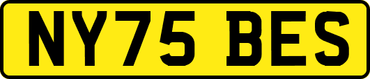 NY75BES