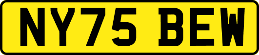 NY75BEW