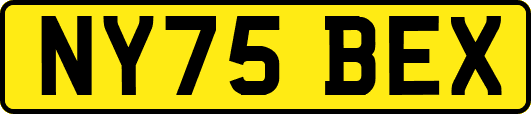 NY75BEX