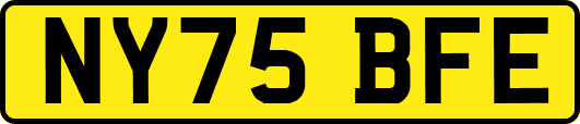 NY75BFE