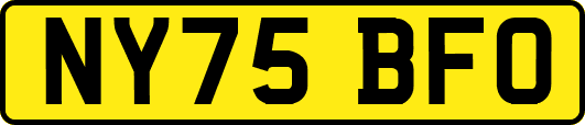 NY75BFO