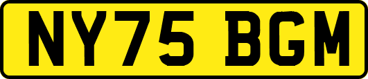 NY75BGM