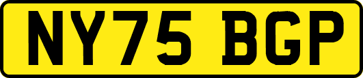 NY75BGP