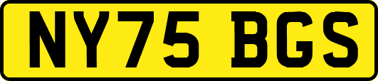NY75BGS