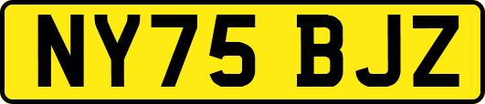 NY75BJZ