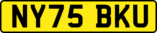 NY75BKU