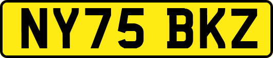 NY75BKZ