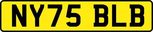 NY75BLB