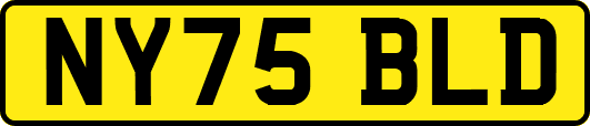 NY75BLD