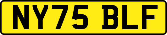 NY75BLF