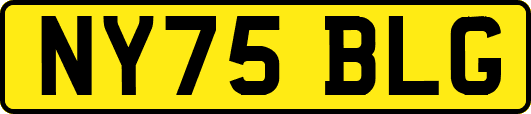 NY75BLG