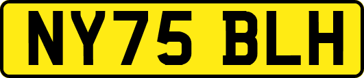 NY75BLH