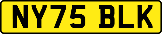 NY75BLK