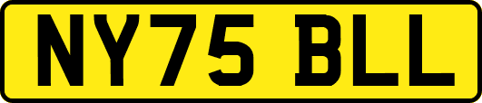 NY75BLL