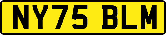 NY75BLM