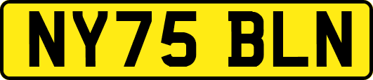 NY75BLN