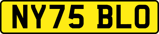 NY75BLO
