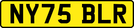 NY75BLR