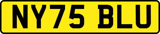 NY75BLU