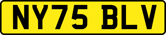 NY75BLV