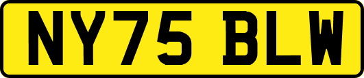 NY75BLW