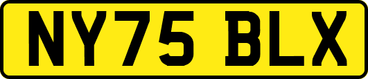 NY75BLX