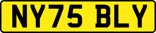 NY75BLY