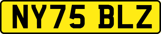 NY75BLZ