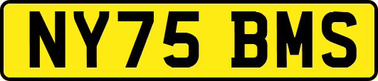 NY75BMS