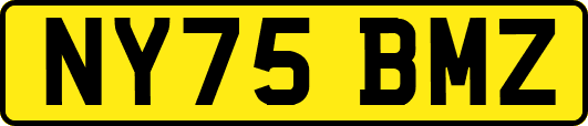 NY75BMZ