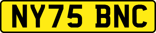 NY75BNC