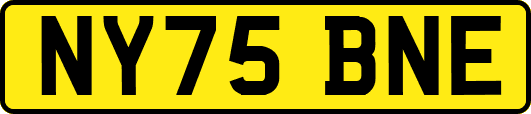 NY75BNE