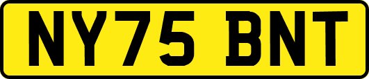 NY75BNT