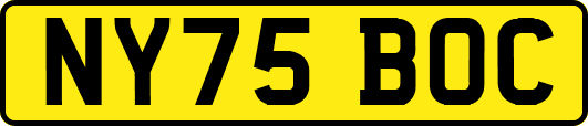 NY75BOC