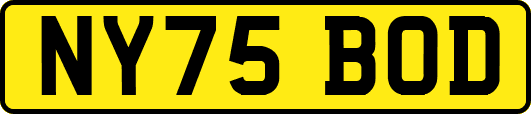 NY75BOD