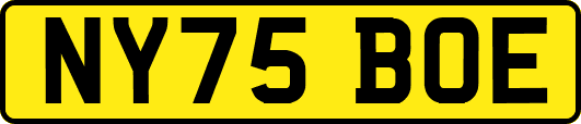 NY75BOE