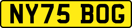 NY75BOG