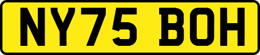 NY75BOH