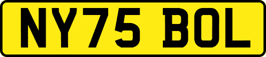 NY75BOL