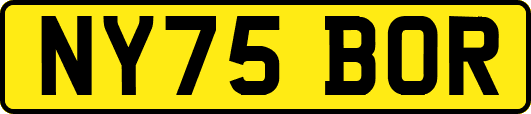 NY75BOR