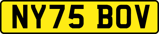 NY75BOV