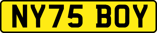 NY75BOY