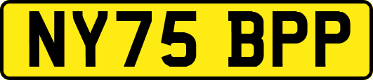 NY75BPP