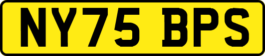 NY75BPS